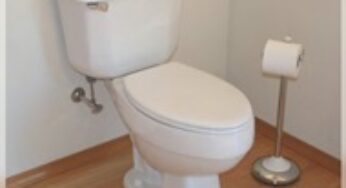 Toilet Bowl Choke in London