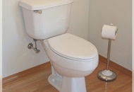 Toilet Bowl Choke in London